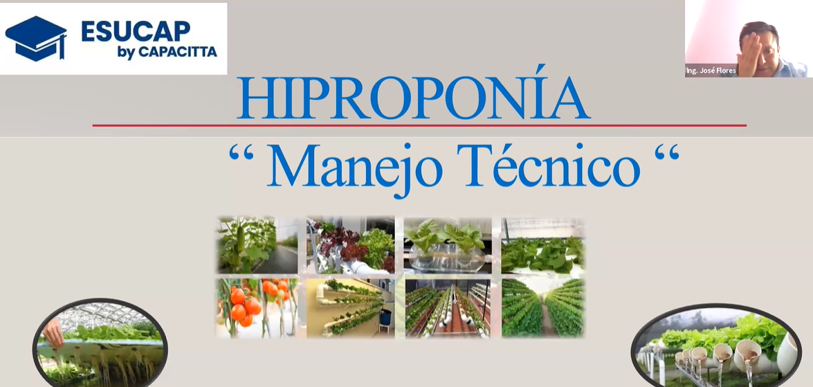 Hidroponía: Manejo tecnico